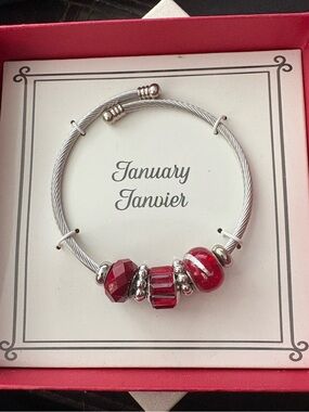 January Birthstone Red Charm Bracelet